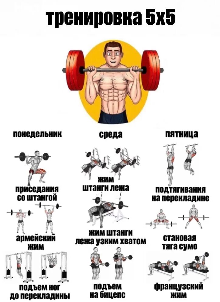 Программа тренировок 5х5. Программа тренировок 5 на 5. Тренировка 5х5 программа тренировок. Программа тренировок 5х5 пауэрлифтинг.