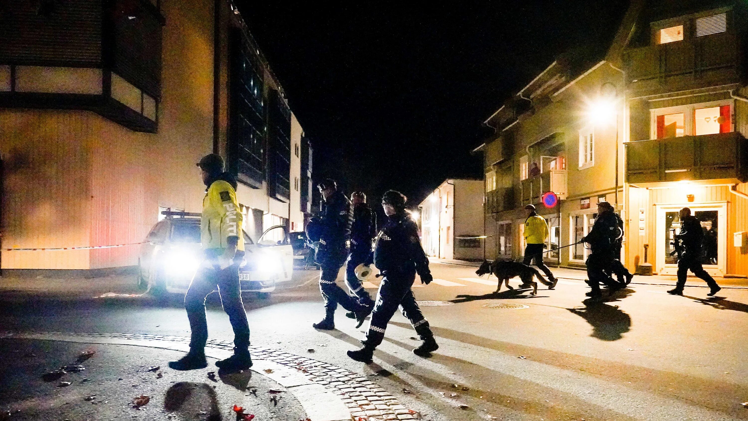В Норвегии Осло полиция.