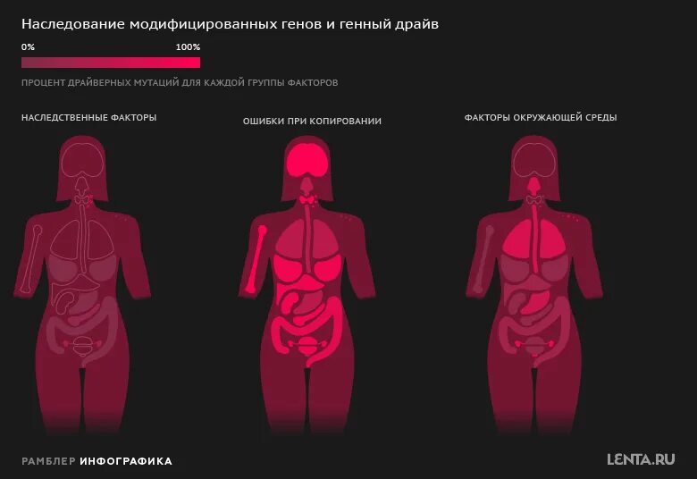 Какой рак передается по наследству. Онкология передается по наследству. Рау передаётся по наследству?. Генный драйв. Может ли онкология передаваться по наследству.