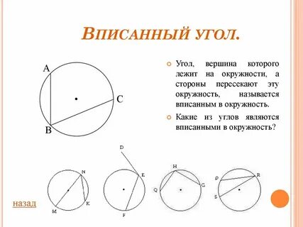 Виды углов в круге