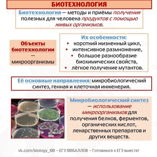 Перечислите методы биотехнологии. Биотехнология ЕГЭ. Основные методы биотехнологии. Основные направления биотехнологии. Методы биотехнологии ЕГЭ.