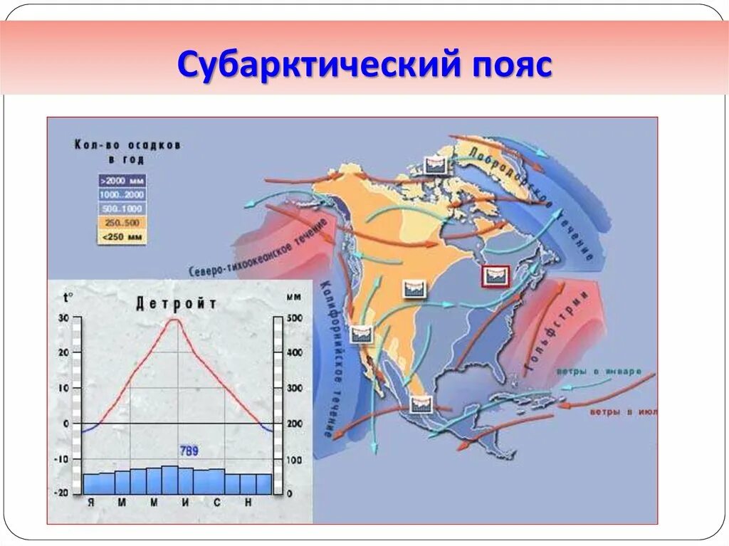 Климатограмма умеренного пояса Северной Америки. Климатограммы субарктического климата. Субарктич пояс Северная Америка климат. Климатограммы субарктического климата России. Температура летом в северной америке