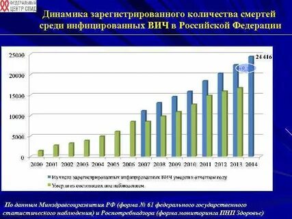 Статистика паллиативной помощи