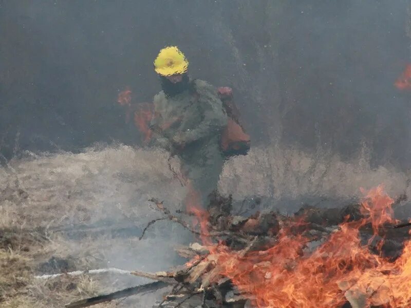 Пожар в доме. Лесной пожар в мурманске. Пожары в мурманской. Пожары апатиты. Пожары в мурманской.