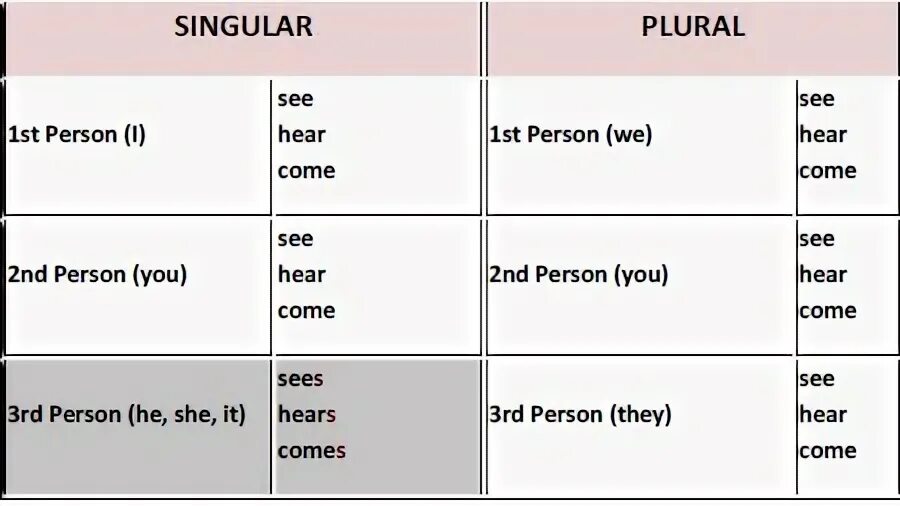 They carry he. Singular plural person. Person plural form. Third person plural. Second-person singular and plural.