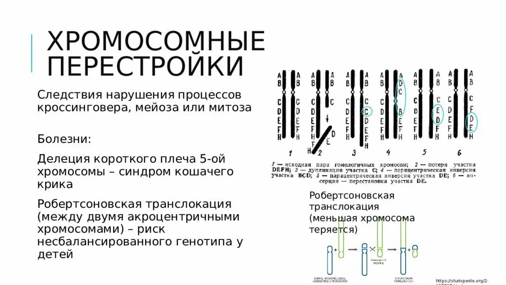 Хромосомные мутации перестройка. Внутрихромосомные перестройки схема. хромосомные перестройки. сбалансированные хромосомные перестройки. структурные хромосомные перестройки.