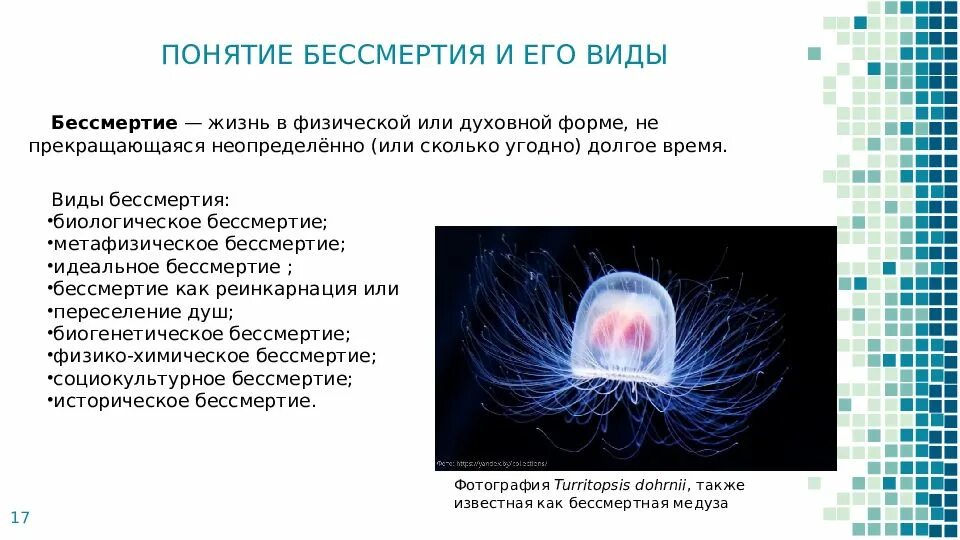 Можно стать бессмертным. Понятие бессмертие. Понятие бессмертия в философии. Теория квантового бессмертия. Биологическое бессмертие человека.