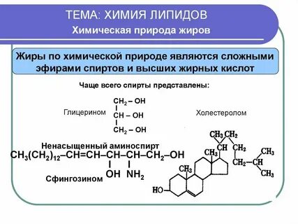 Какие органические вещества относятся к липидам примеры
