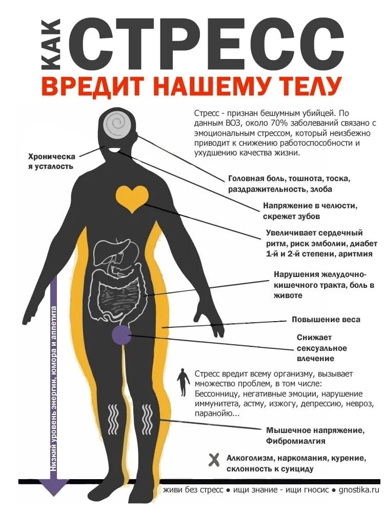 Элементы стресса. Организм испытывает стресс. Стресс и тело. Симптомы после стресса. Вред стресса.