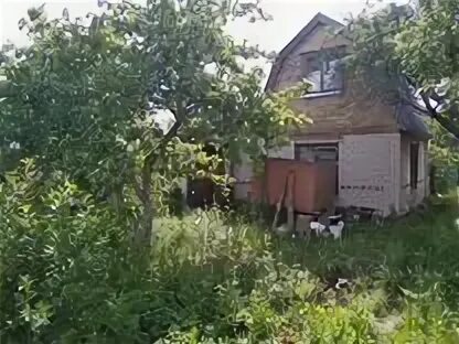 Тракторосад no 3 просп ленина 8. Тракторосад 2. тракторосад 4 челябинск. тракторосад 3. снт тракторосад 2.