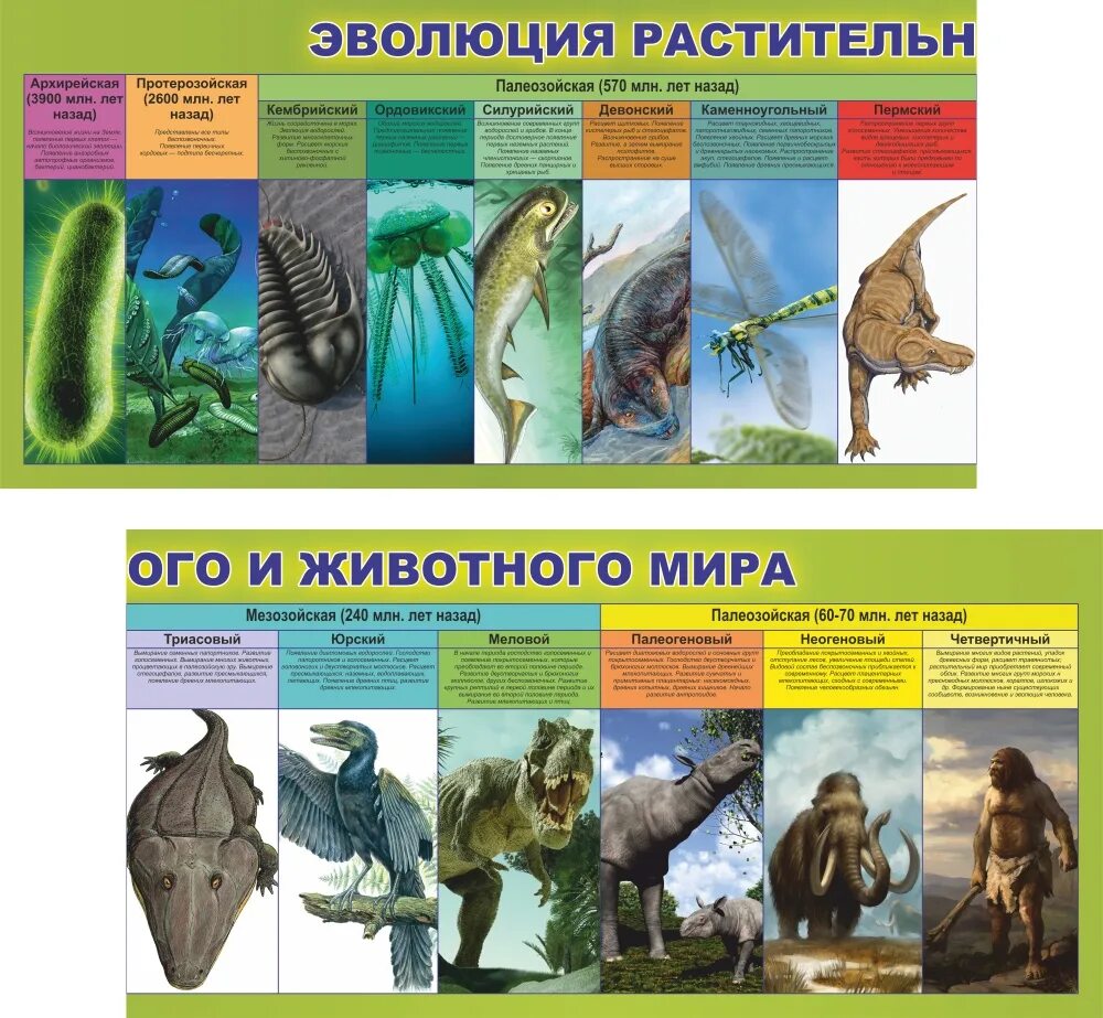 Мир эволюции 5. Эволюция животного мираcntyl.