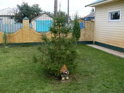 Авито преображенская волгоградская область