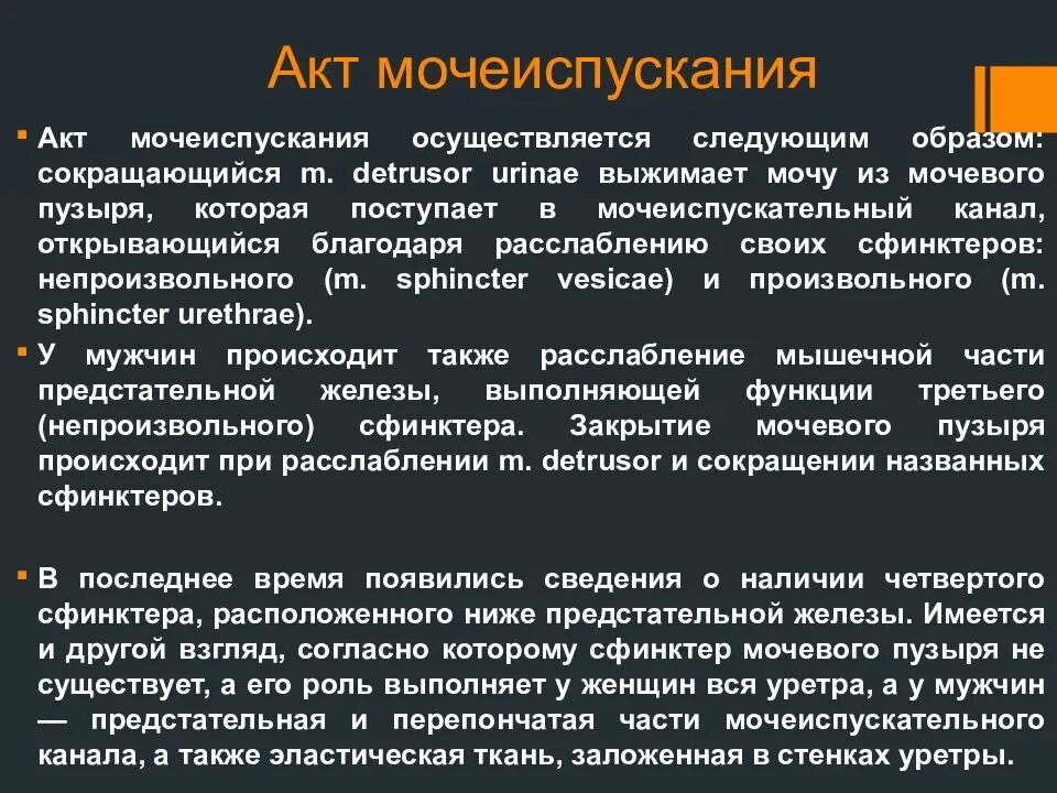 Как происходит мочеиспускание. Акт мочеиспускания. Акт мочи мочеиспускания. Как осуществляется акт мочеиспускания. Непроизвольная регуляция актов мочеиспускания.