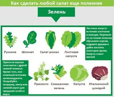 Зелени морфологический