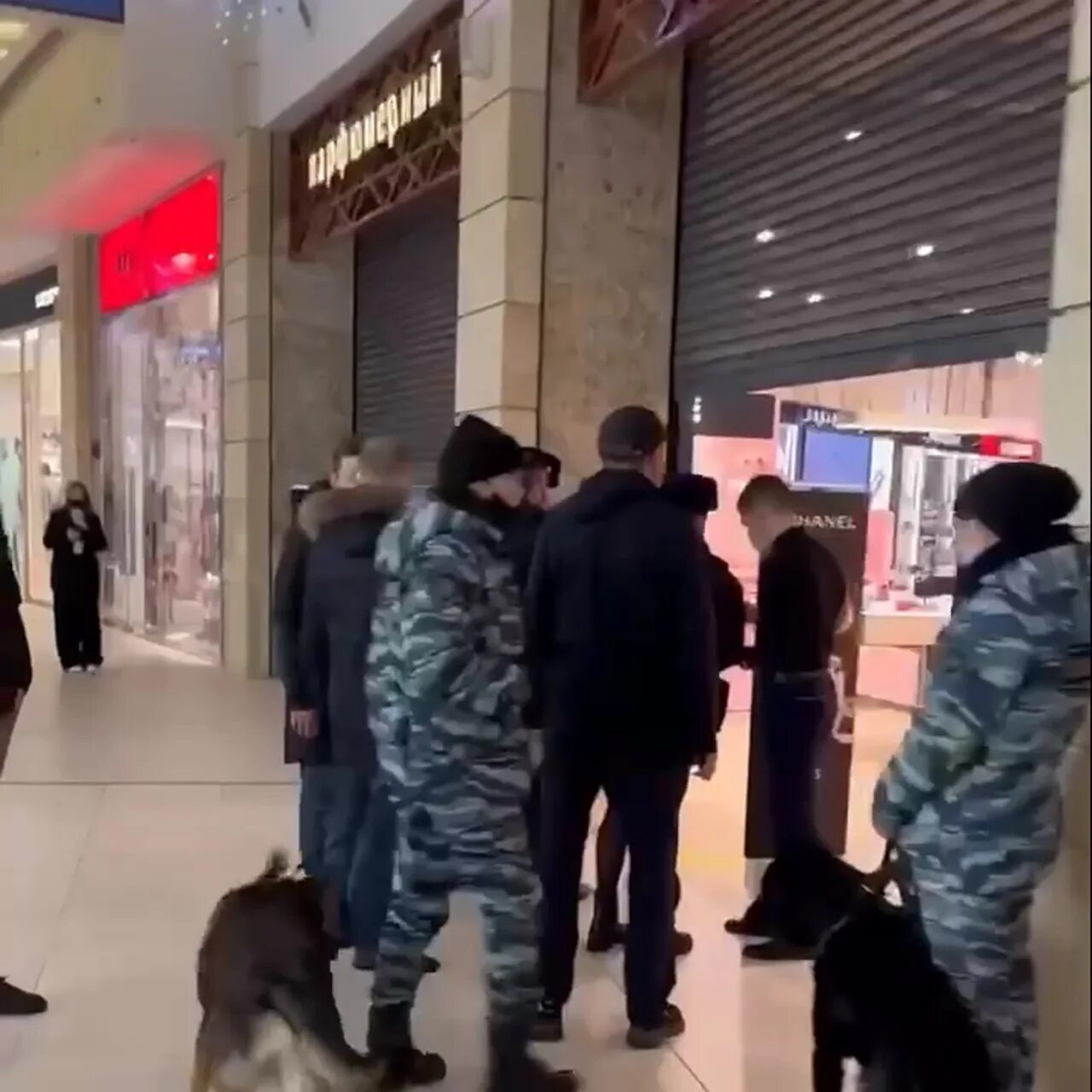 Кражи из золотого яблока волгоград. Золотое яблоко кражи. Кража в магазине. Золотое яблоко сотрудники. Кража в золотом яблоке.