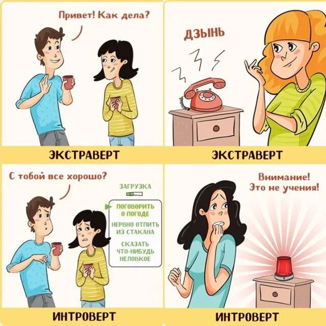 Экстраверт работа. Интроверт. экстраверт. интроверт и экстраверт. экстраверт картинки.