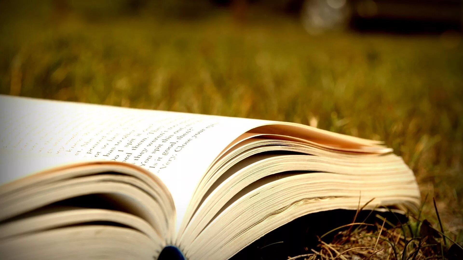 Books did you read