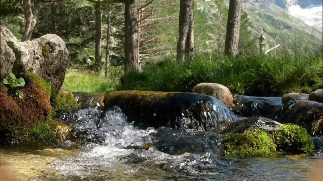 Родники сила. Вода живой Родник. Водопад «мёртвой и живой воды». Источник воды живой. Красивый Родник.