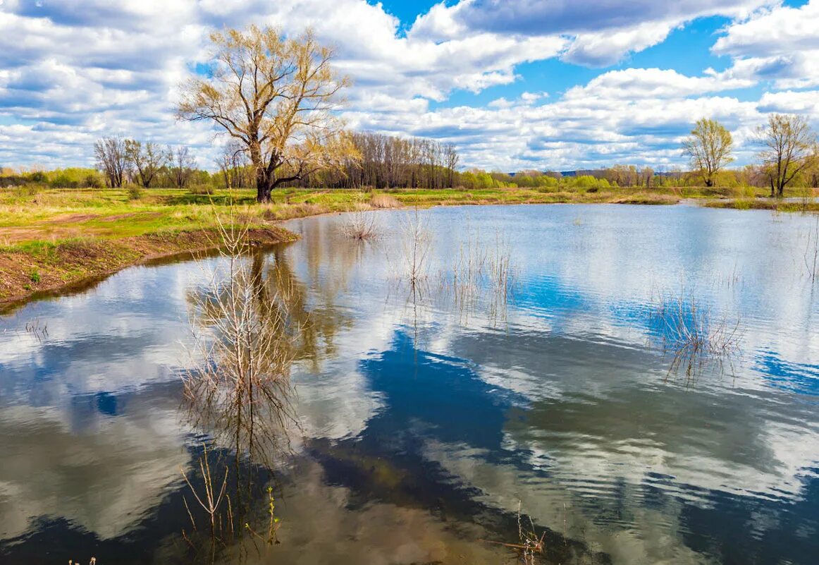 Река Талая. Талое озеро. Талая река пейзаж. В речке Талая вода.