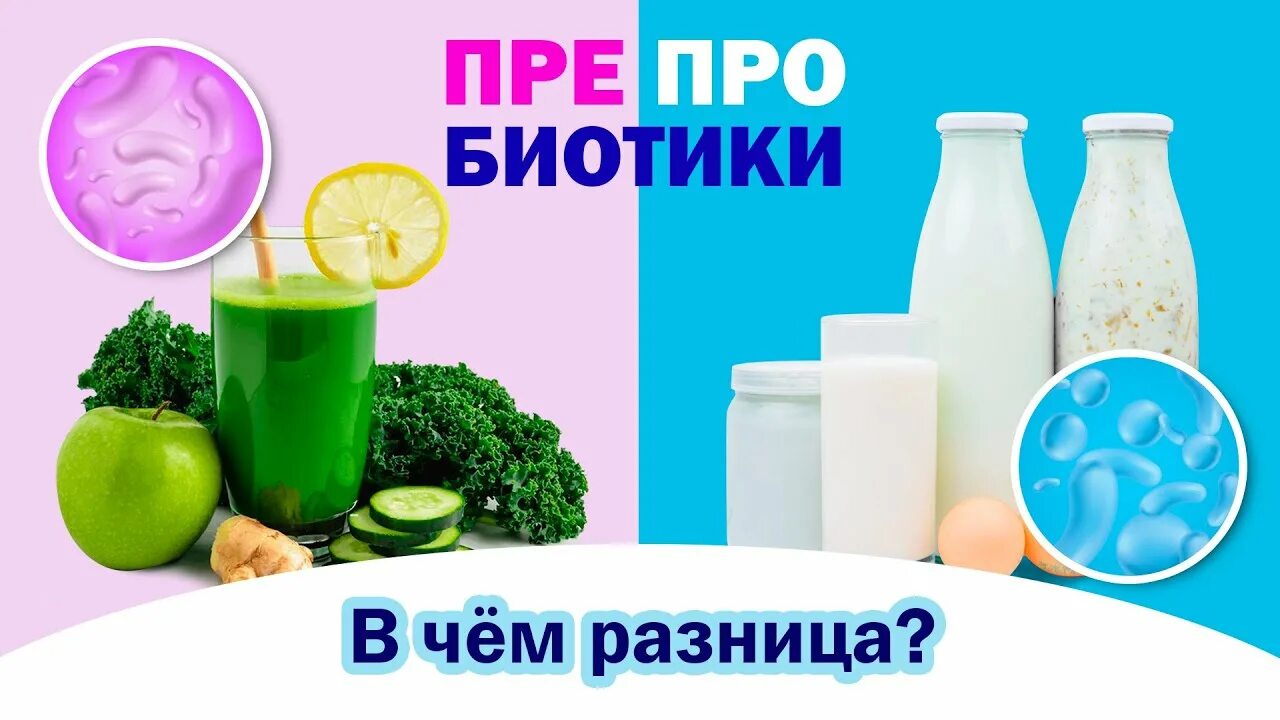 Что будет если пить пробиотики. Пребиотики. пробиотики и пребиотики. пребиотики и пробиотики разница. пребиотики и пробиотики для кишечника.