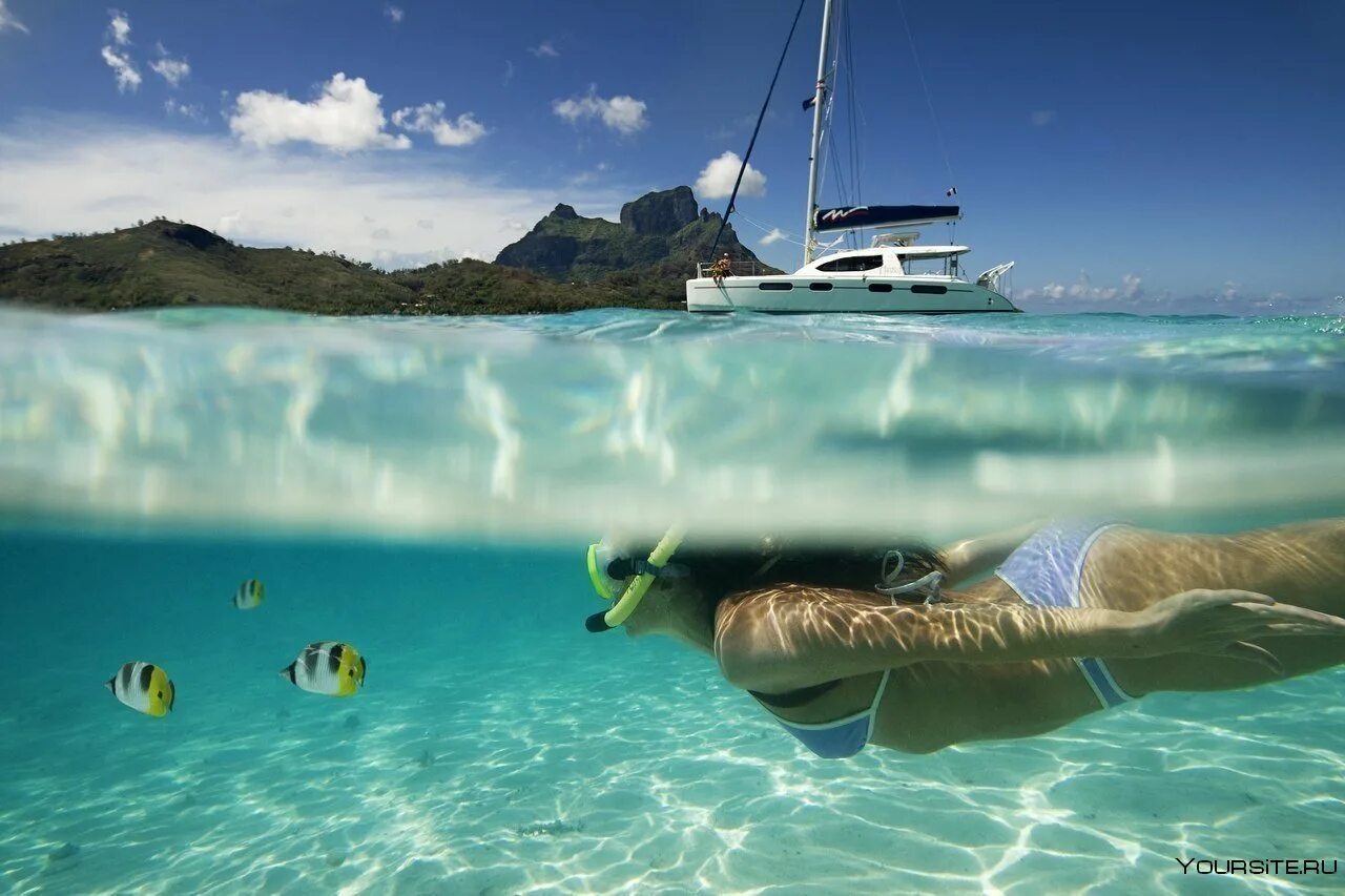 Island вода. Сейшелы снорклинг. Прозрачное море. Над водой и под водой. Прозрачная вода море.