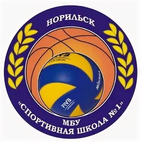 Школа олимпийского резерва сочи. Спортивные школы в альметьевске. Дюсш 5 чита. Школа 3 таганрог. Мбу спортивная школа no 5.