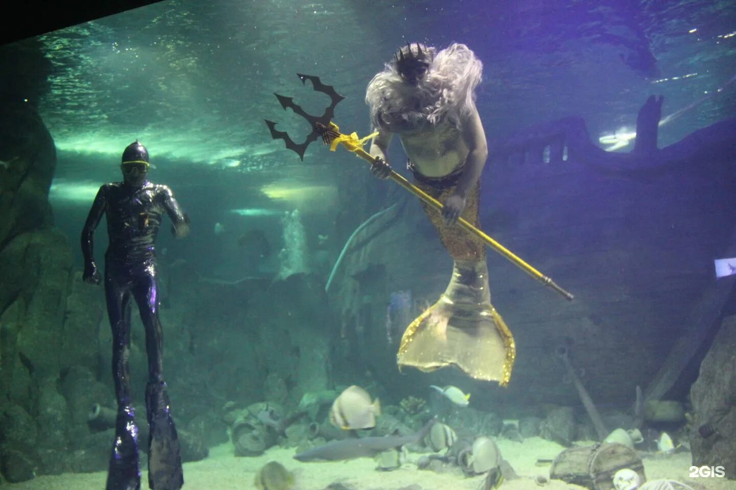 где находится офис а4. координаты ангара а4. карту где живет. местоположение улицы. карта пожалуйста карта.