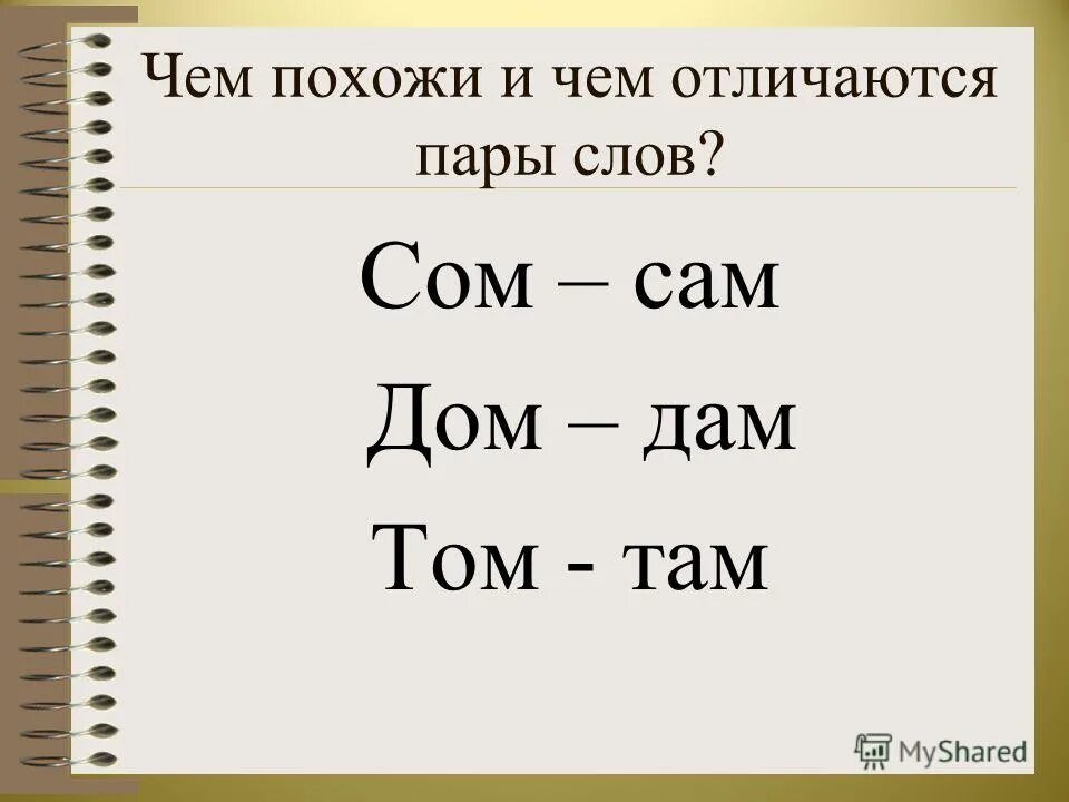 Запомнить пары слов. Слова с твердыми и мягкими согласными. Звонкие и глухие согласные в конце слова. Предложение с парой слов "много-больше". Придумай пару к слову машина.