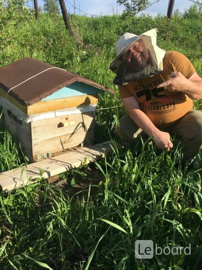 Маленький пчеловод. Улей на пасеке. Пчела для детей. Фотосессия с пчелами. Пчеловод на пасеке.