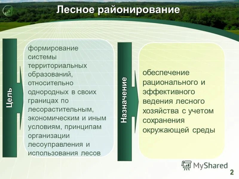 Лесное районирование. Лесохозяйственное районирование. Природное районирование презентация. Лесорастительный район.