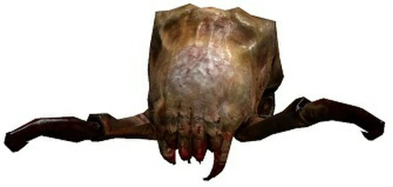 Half life headcrab. Ядовитый Хедкраб half-Life. Ядовитый Хедкраб half-Life 2.