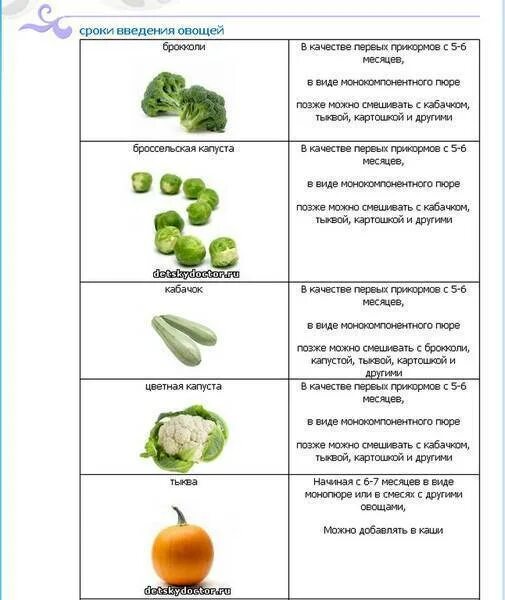 Со скольки можно свежие огурцы. Овощные пюре для первого прикорма с 6 месяцев. Какие овощи вводить в прикорм. Схема введения овощей в прикорм. Фруктовое пюре для первого прикорма с 6 месяцев.