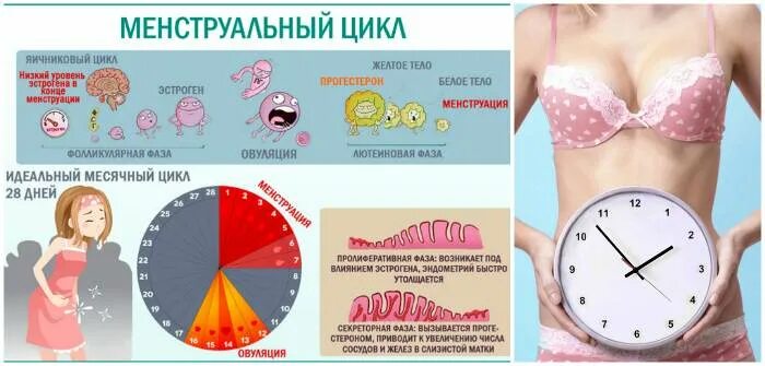 Почему нельзя заниматься при месячных