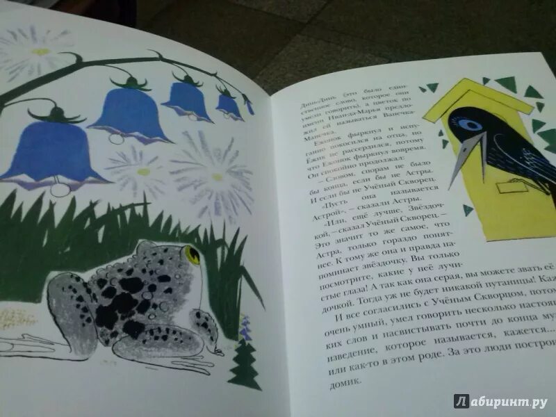 Заходер звездочка. Заходер б.в. &quot;серая звездочка&quot;. иллюстрация к сказке серая звездочка. иллюстрации из книги серая звездочка. рисунок к сказке серая звездочка.