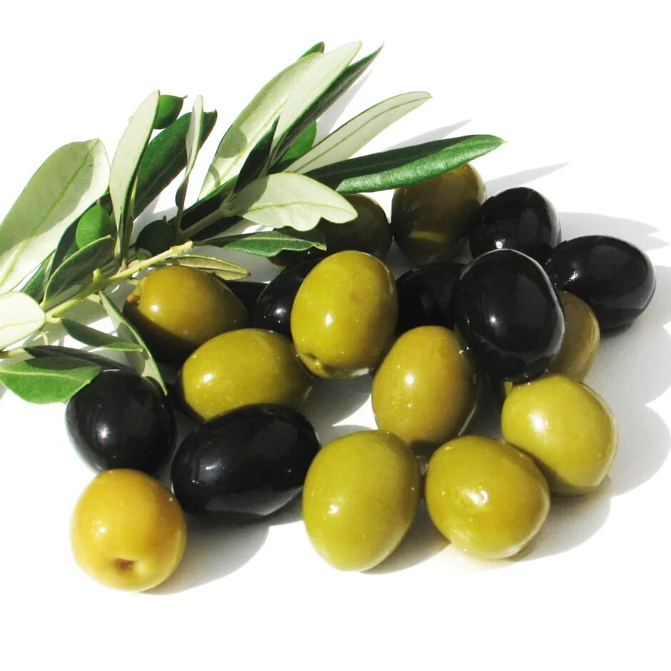Польза косточек маслин. Оливки и маслины. Что такое оливы маслины. Маслины на белом фоне. Оливки на белом фоне.