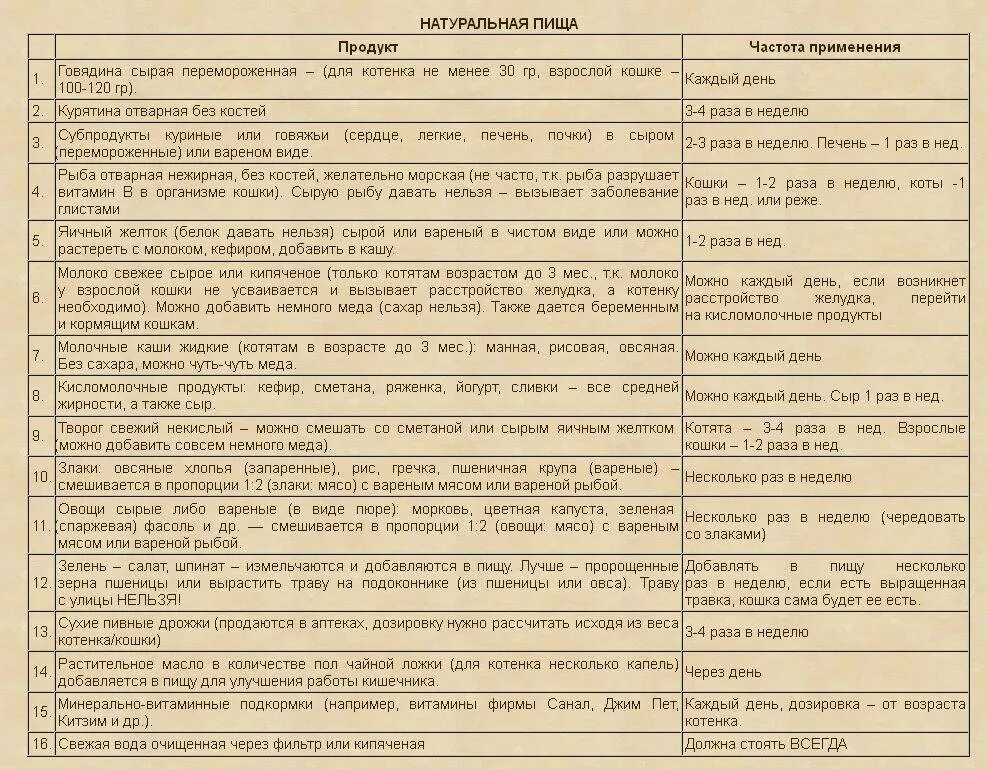 Что можно давать котятам в месяц. Рацион питания котенку 1.5 месяца британец. Рацион питания котенка 2-3 месяца. Рацион питания для котенка 5 месяцев. Сколько кормить котенка 5 месяцев.