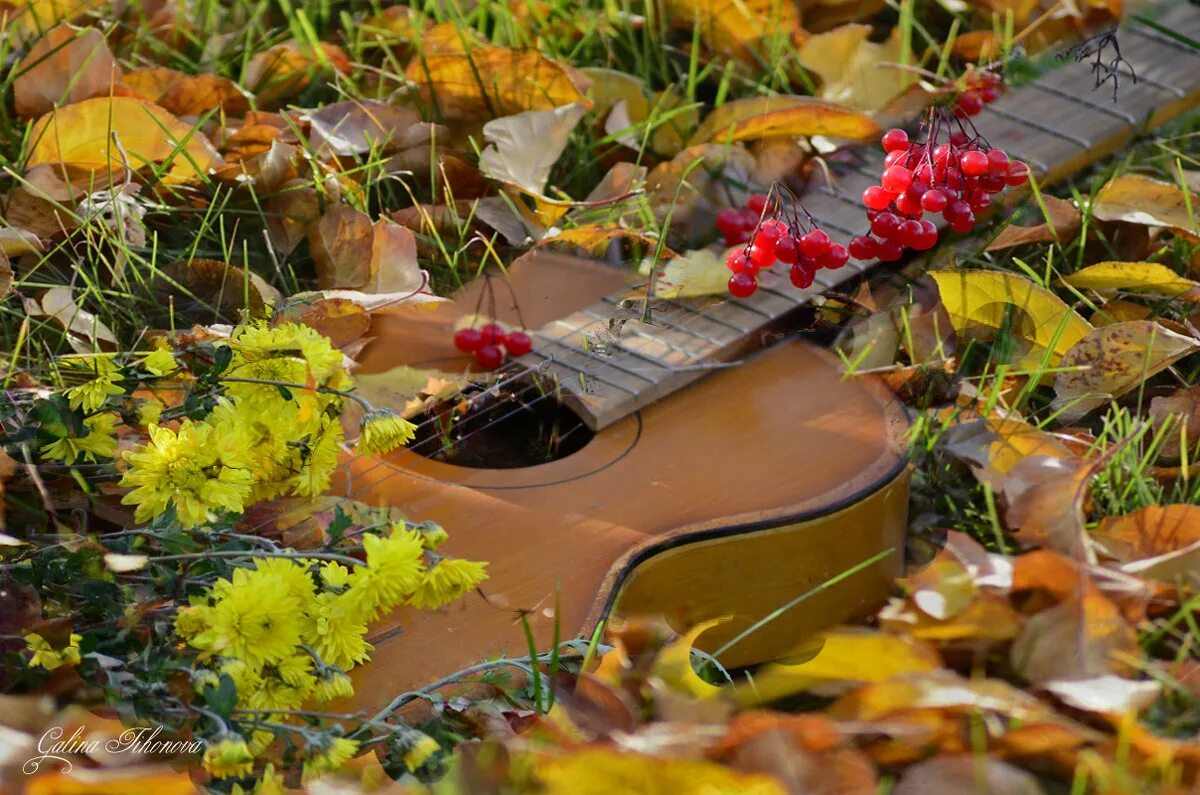 Осенние листья песня. Гитара в осенних листьях. Гитара в осенней листве. Музыкальная осень. Гитара осень листья.