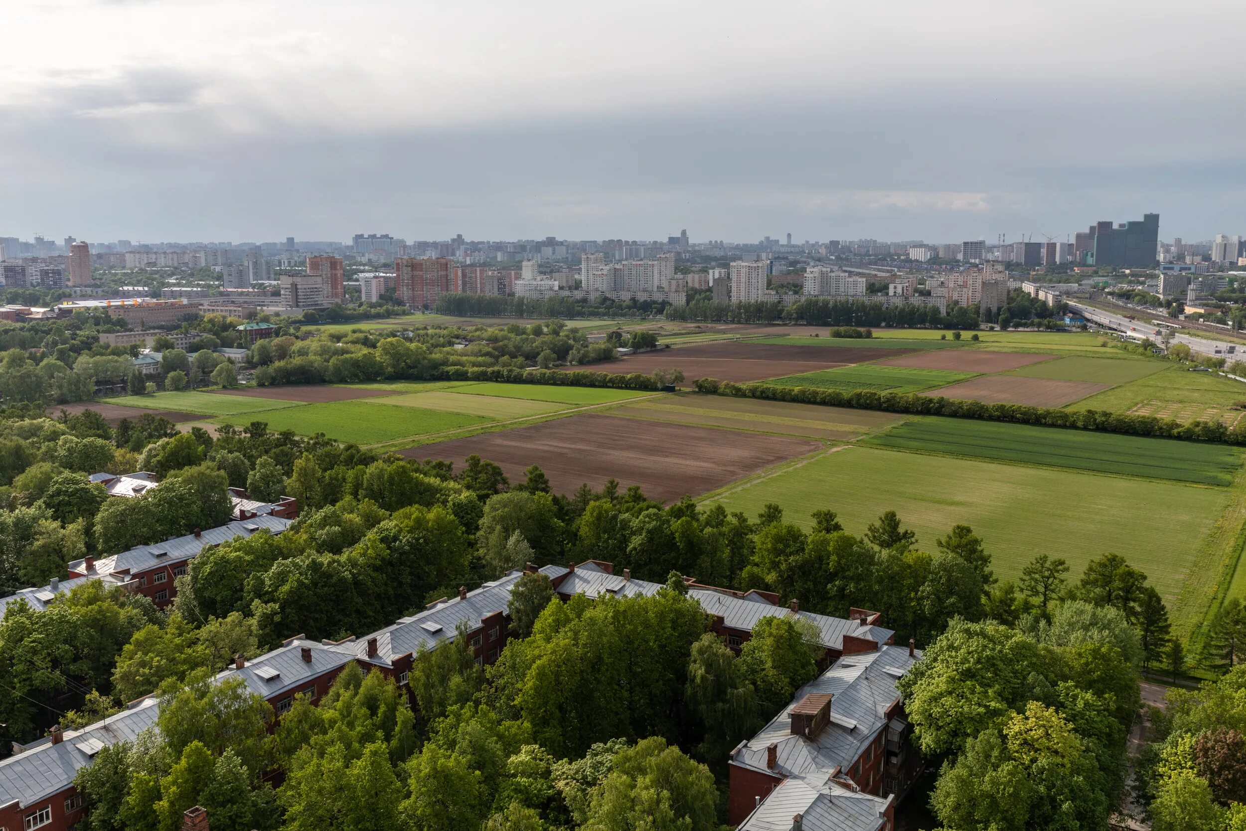 Полевая опытная станция РГАУ-МСХА имени к а Тимирязева Москва. РГАУ МСХА Лиственничная аллея. Лиственничная аллея Тимирязевской Академии. Полевая опытная станция РГАУ МСХА. Питомник кф ргау мсха