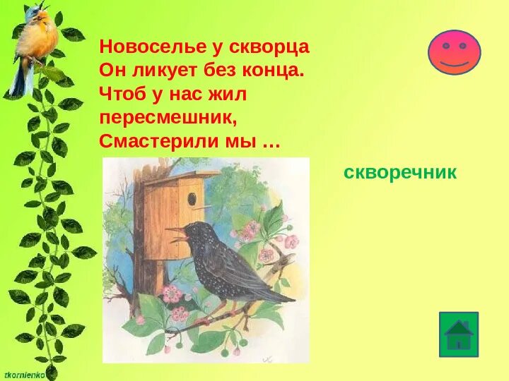 Загадка про скворца. Скворечник для детей. Загадка про скворечник. Загадка про скворца для детей.