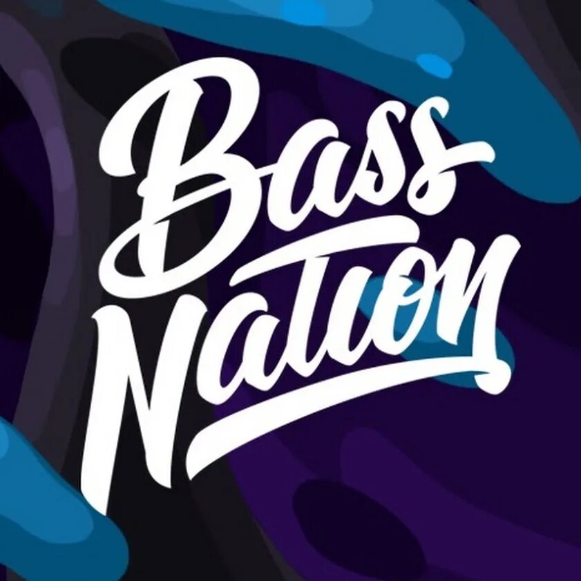 Bass nation. Bass Nation logo. Фото Bass Nation. Натион.