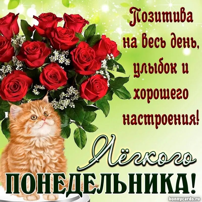 Картинка с днем понедельника. Забавные открытки с добрым утром. Картинка с днем понедельника. Открытки с добрым утром понедельника. Поздравления с хорошим настроением.