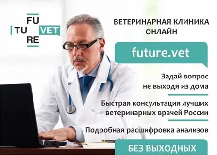 Рейтинг ветеринаров