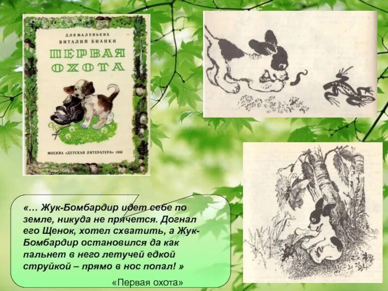 Бианки конспект урока 1 класс школа россии. Бианки презентация для дошкольников. В В Бианки 1 класс школа России презентация. Иллюстрации к сказке Бианки первая охота.