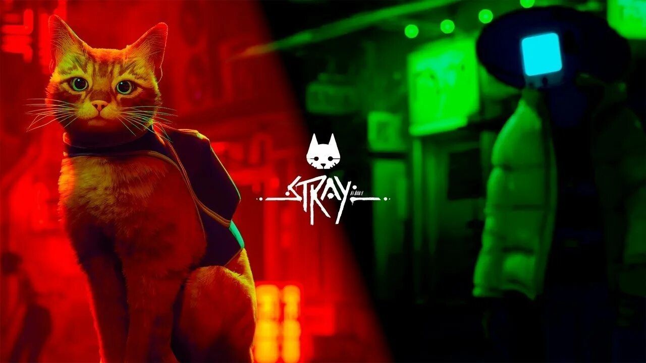 Игра котики прохождение. Stray игра ps4. Stray игра про кота. Игровой кот. Игра про кота в киберпанке.