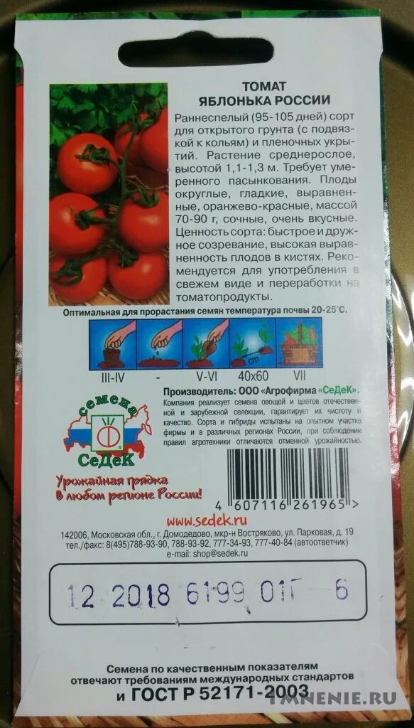 Сорт томата яблонька россии отзывы. Томат сорт «Яблонька России/Тамина». Семена томата Яблонька России описание. Семена томат Яблонька России. Семена помидора Яблонька России.