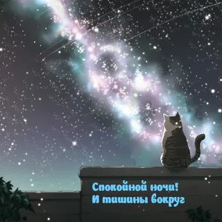 Tomorrow my friend
