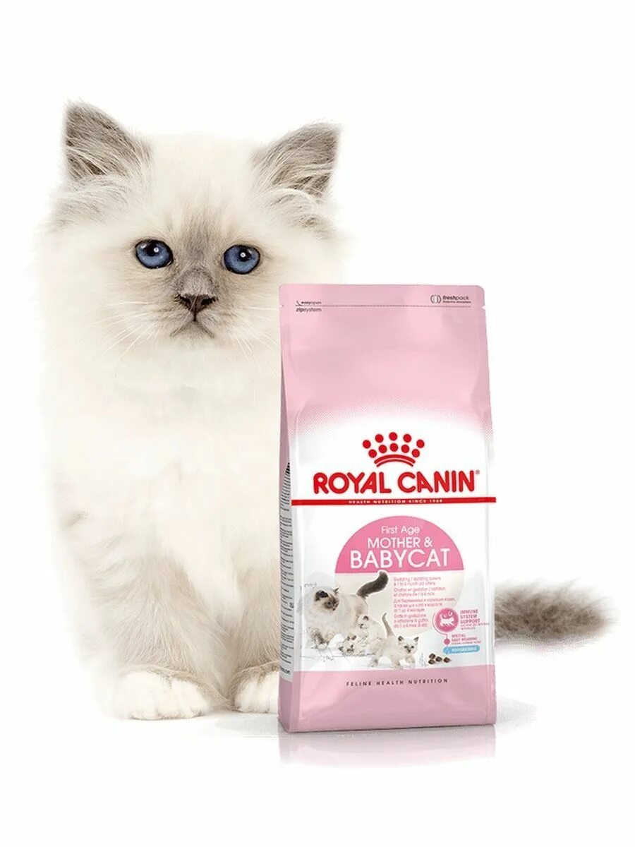 Royal canin babycat. Роял Канин mother and Babycat. Royal Canin Babycat сухой. Роял Канин для котят Babycat. Royal Canin mother Babycat сухой корм.