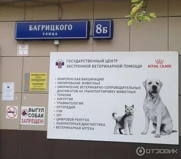 Ветклиника дейли