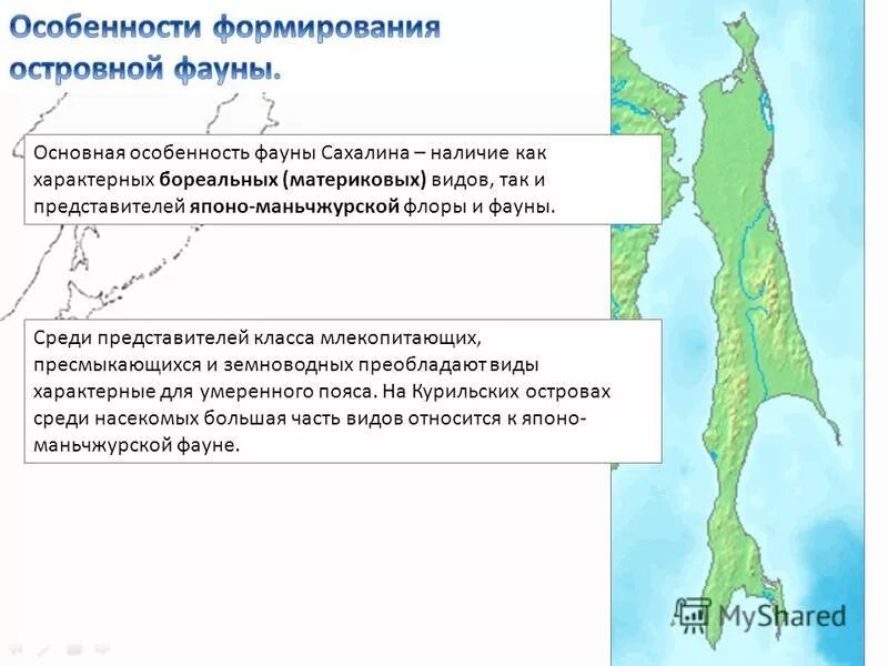 Сахалин является островом. Протяженность острова сахалин. Географическое положение острова сахалин. Мыс великан сахалин. Японское море.