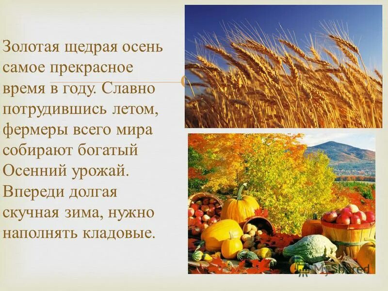 Урожай перевод. Презентация на тему осень. Презентация на тему осенний урожай. Осень богатый урожай. Осень урожай.